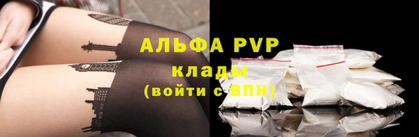 ГАЛЛЮЦИНОГЕННЫЕ ГРИБЫ Елабуга
